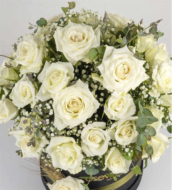 White Beauty Kutuda 30 Beyaz Güller - hover